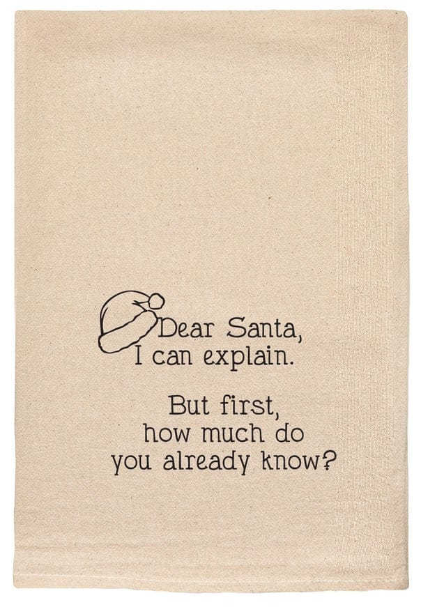 Dear Santa I Can Explain Kitchen Towels