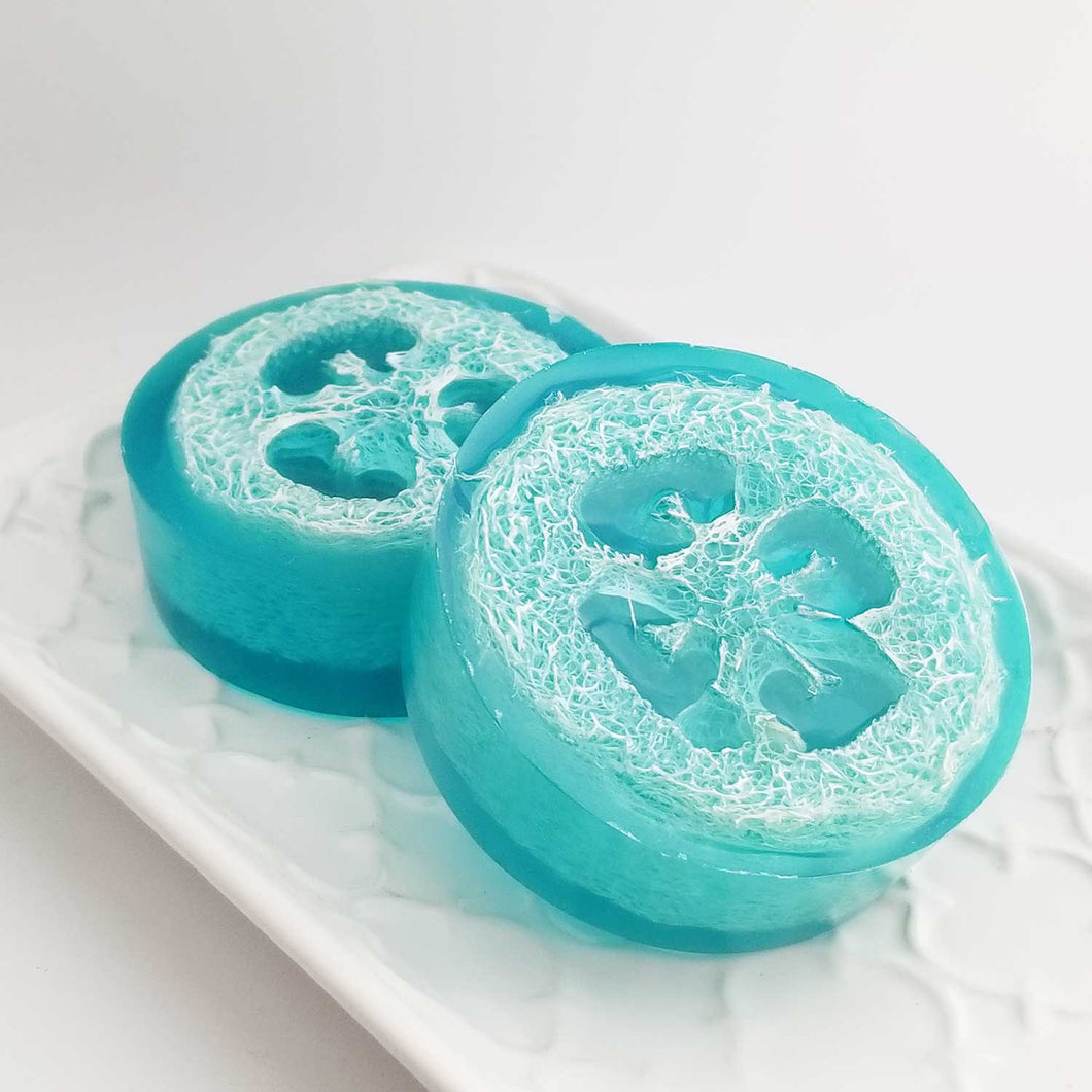Loofah soap