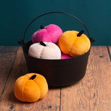 Load image into Gallery viewer, Color pumpkins
